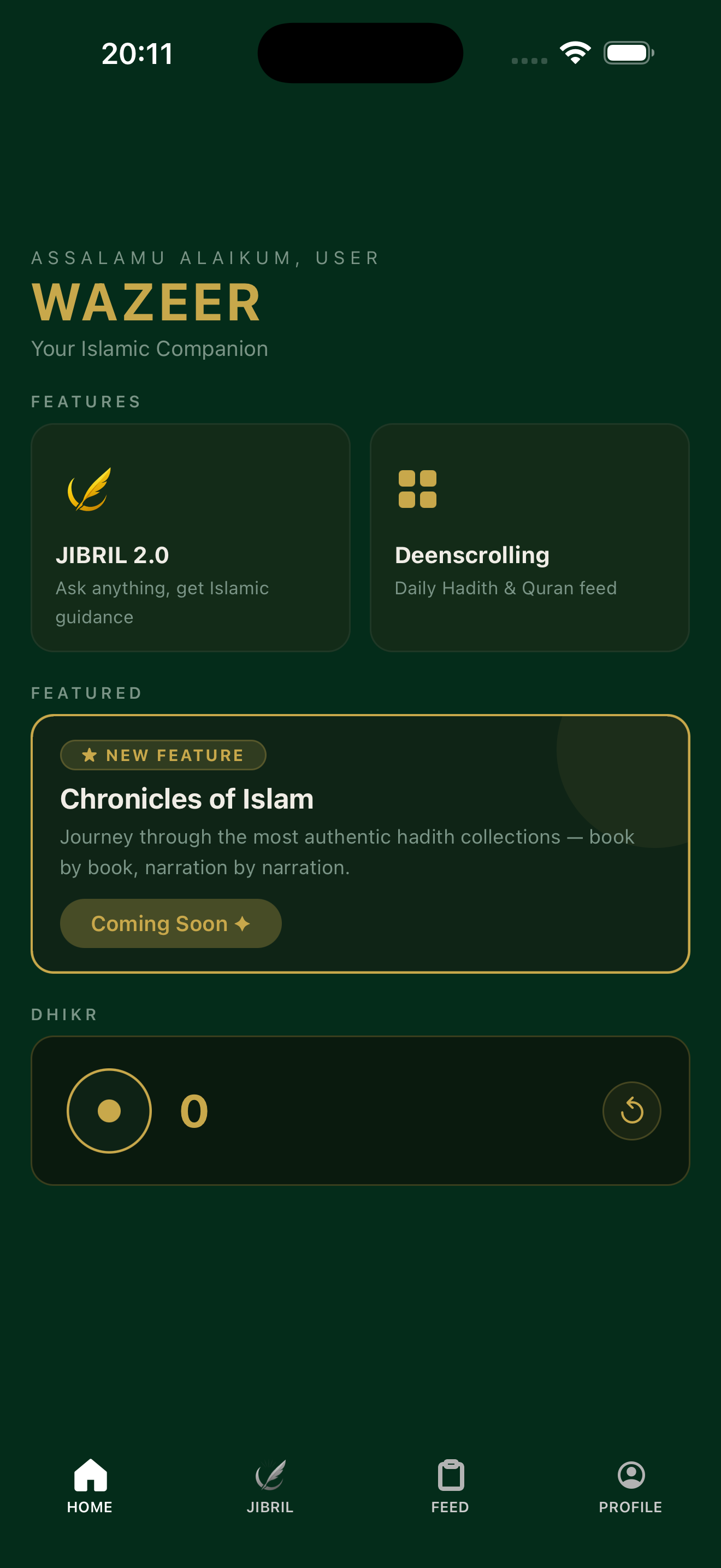 Wazeer home screen