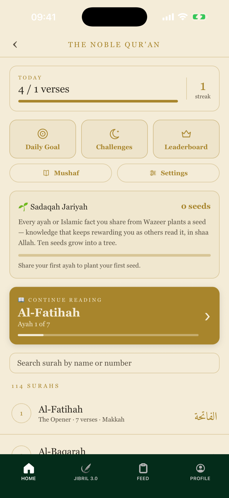 Qur'an reading streaks and leaderboard