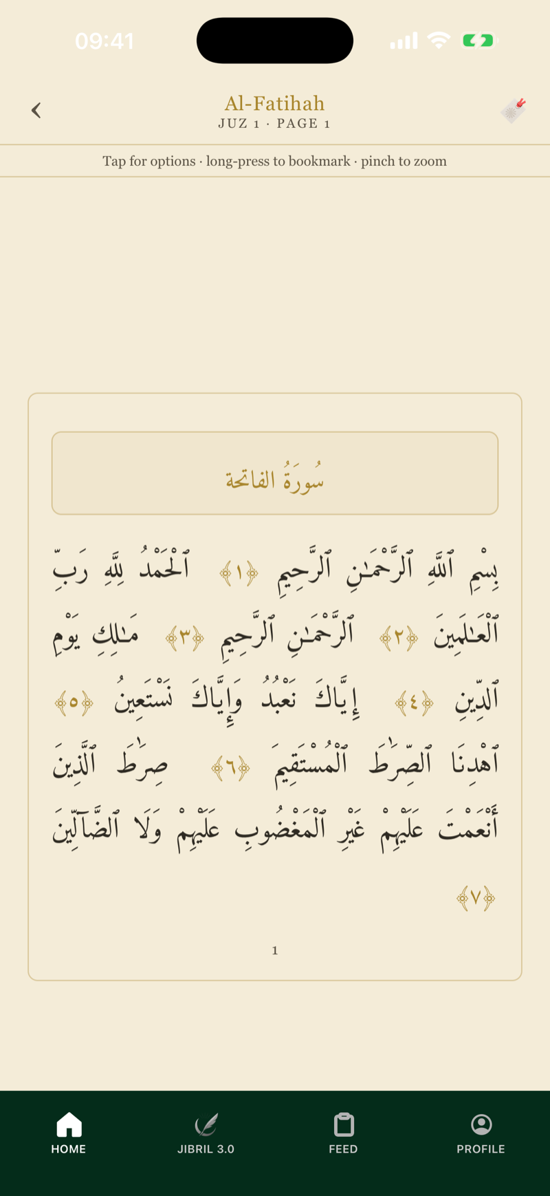 604-page Mushaf view