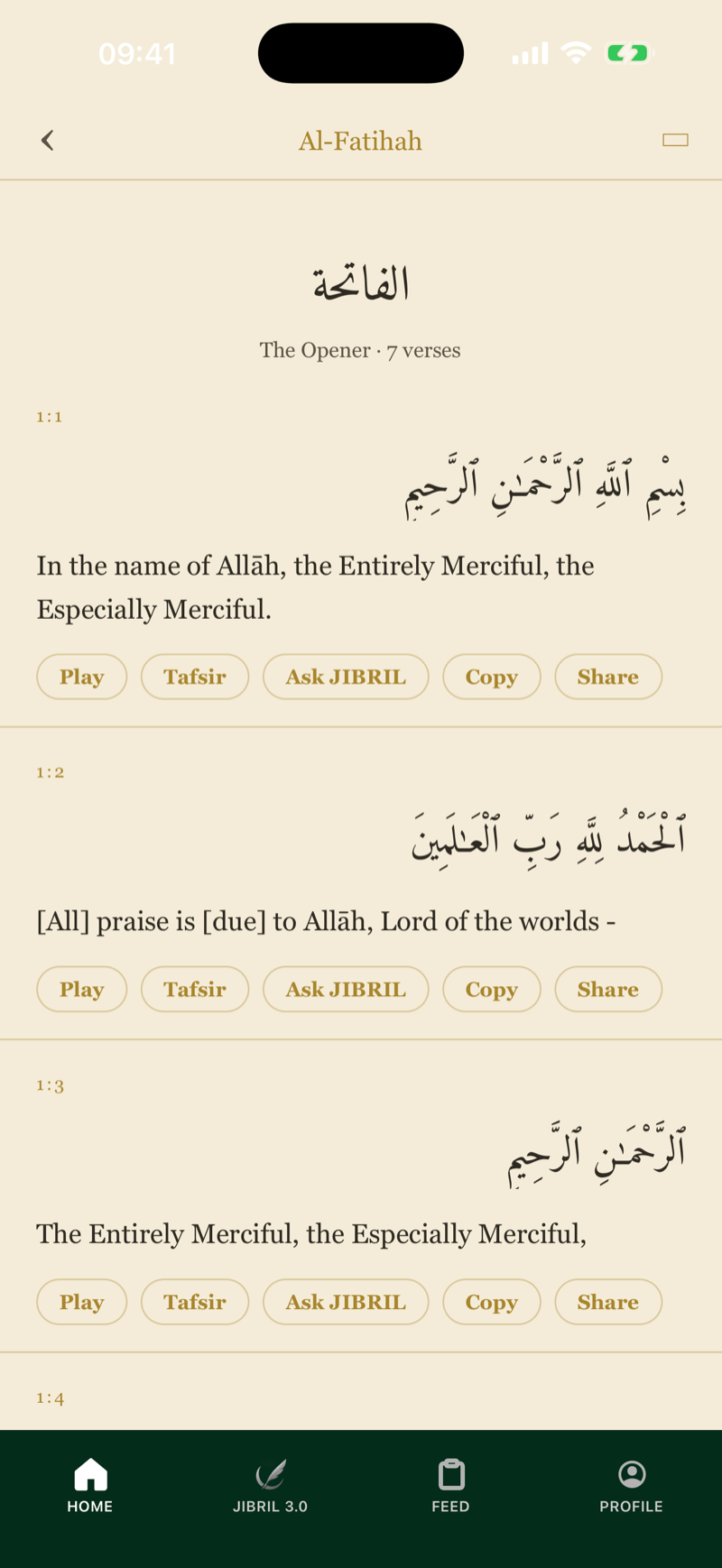 Qur'an Reader with translation